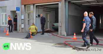 Buurtbewoners in Mechelen geëvacueerd nadat funderingsmuur appartementsgebouw instort - VRT NWS