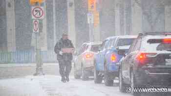 Snowy scenes from spring blizzard in Prairie provinces