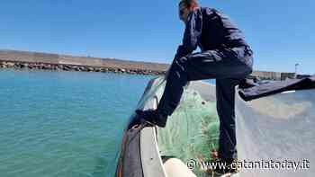 Controlli sulla filiera ittica, sequestrata una rete dentro il porto di Catania - CataniaToday