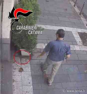 Dissemina pericolose esche per cani a Catania, denunciato - Agenzia ANSA