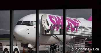 WestJet brings back former executive to helm budget carrier Swoop