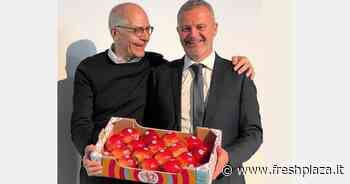 Samboa, il nuovo marchio delle tre mele sorelle Luiza, Venice e Isadora - Freshplaza.it