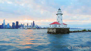 Stop the carp invasion into the Great Lakes - The Hill