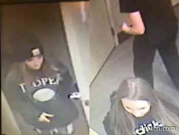 Crimeline Alert: Can You ID Potential Concord Delivery Order Dashers? - Patch