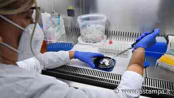 La variante Omicron 2 fa impennare i contagi, ma Vercelli e provincia sono virtuosi - La Stampa