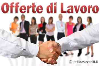 Offerte lavoro: nuove opportunità da cogliere - Prima Vercelli