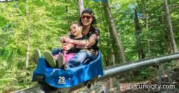 It’s gonna be a wild ride! This Alberta ski resort is opening an Alpine roller coaster this summer - Curiocity