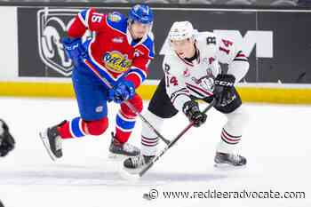 King scores 50th goal of season, Red Deer Rebels fall to Edmonton Oil Kings – Red Deer Advocate - Red Deer Advocate