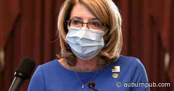 Some contested races for Congress, state Legislature in Cayuga County - The Citizen