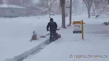 'Pretty much in lockdown': Residents in southeast Sask. cope with blizzard conditions