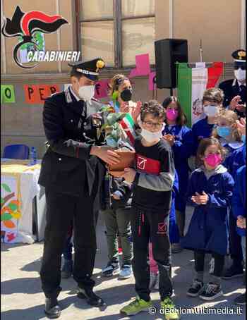 Enna – Carabinieri donano albero di ficus alle scuole della provincia - Dedalomultimedia