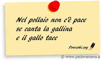Este: Galina canta e galo tase – 9 aprile 2022 - Padova News