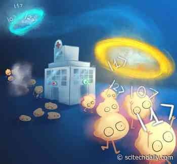 Not Science Fiction: Quantum Teleportation Provides Express Lane for Data Communication