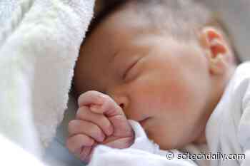 Newborns’ Brains Already Organized Into Functional Networks – With Individual Variability Linked to Genetics