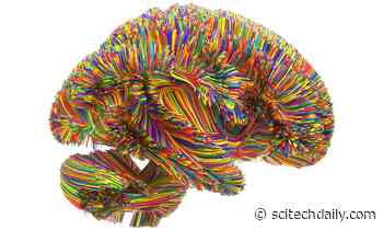 mRNA Quality Control: Root Cause of Tau-Induced Neurodegeneration in Alzheimer’s and Related Dementias
