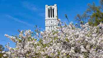 Lisa Bullard Honored with Inaugural Provost's Award for Excellence in Teaching - NC State News