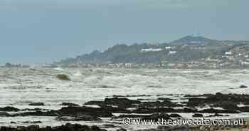 Wynyard's Brandon Stendt in court for assaulting 91-year-old man - The Advocate