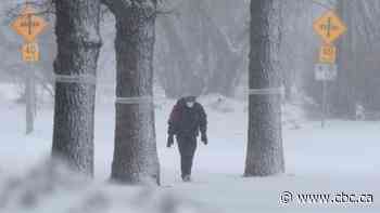 Travel conditions expected to worsen as major storm hits Manitoba, Saskatchewan and northern Ontario