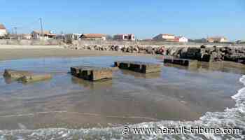 Frontignan : la ville recherche des photos du Grau de Gravatel avant 1970 - Hérault Tribune