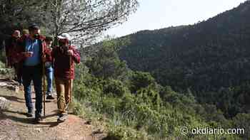 El Gobierno de Sánchez destina 80.000 € a promover los «derechos ambientales» en Líbano - Okdiario