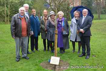 University of Buckingham plants tree to celebrate Friend's 'extraordinary' service - Bucks Herald