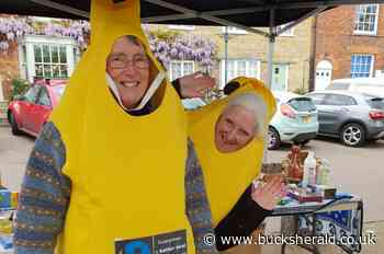 Environmental information and inspiration at Buckingham Spring Green Fair - Bucks Herald