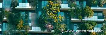 Sustainable Architecture: Going Zero-Waste in Modern Construction - Greenroofs.com
