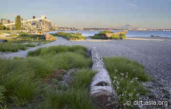 Landscape Architecture in the News Highlights (March 1-15) - American Society of Landscape Architects