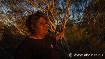 Uranium miner still set on WA mine despite approval knockback, Indigenous opposition