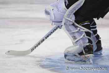 Passau Black Hawks verpflichten Goalie Luca Mayer Torhüter kommt vom Augsburger EV - Hockeyweb.de