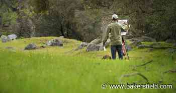 Plein and not so simple: Painting festival returns - The Bakersfield Californian