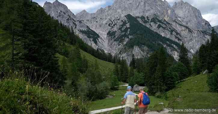 Kadaver für die Artenvielfalt: Projekt im Nationalpark
