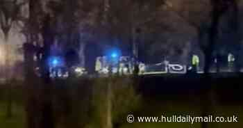 Tragedy on Sutton Road as woman dies in accident with car - Hull Live