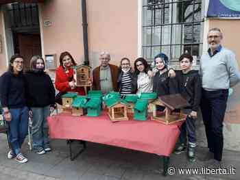 "Green Gragnano": pronte le casette per gli uccelli create dai ragazzi - Libertà
