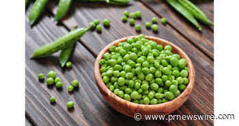 Cargill expands RadiPure® pea protein into the META &amp; India markets