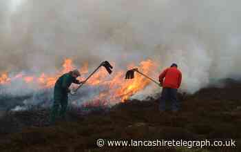 Park visitors warned in bid to prevent moorland wildfires