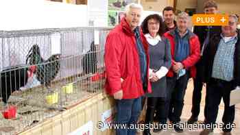 Meitingen: Die schönsten Hühner und Hähne sind in Meitingen zu sehen | Augsburger Allgemeine - Augsburger Allgemeine