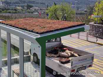 Riva del Garda: conclusa in questi giorni la nuova pensilina col tetto verde - la VOCE del TRENTINO