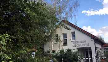 Tierheim Lechleite ist gerettet – Tierschutzverein Augsburg übernimmt - StadtZeitung Augsburg