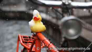 Winter im April - die Bilder aus Augsburg - Augsburger Allgemeine