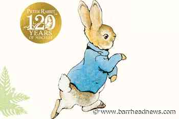 Beatrix Potter's Peter Rabbit inspires garden initiative marking anniversary - Barrhead News
