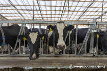 Brussel: 1 op 3 melkveebedrijven is 'agro-industrie' - Boerderij