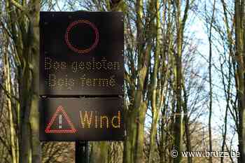 43 interventies en twee lichtgewonden na windstoten in Brussel - BRUZZ