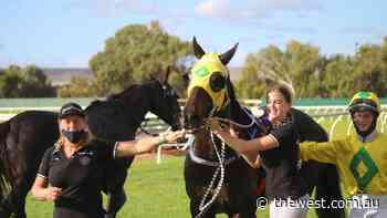Geraldton Turf Club hosts the Dongara Cup on Easter Saturday with local horses in good form - The West Australian