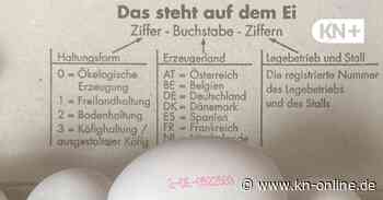 Zahlen und Buchstaben: Das sagt der Eier-Code aus