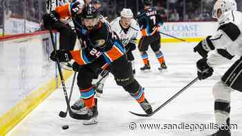 LIVE: Gulls Trail Ontario In Third Period - sandiegogulls.com