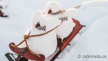 One hundred plush ptarmigans unleashed on Yellowknife trail - Cabin Radio