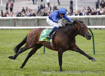 Native Still On The Winning Trail - Thoroughbred Daily News