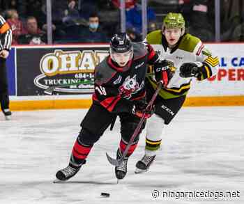 IceDogs Trail Battalion on the Road - Niagara IceDogs