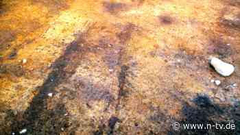 Spektakuläre Entdeckung bei Kiel: Wurde das Rad in Norddeutschland erfunden? - n-tv NACHRICHTEN